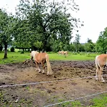 Feriehus Charming Villa, Paliseul