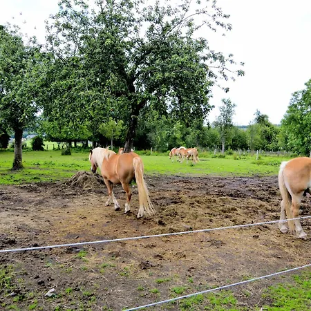 Hébergement de vacances Charming Villa, Paliseul